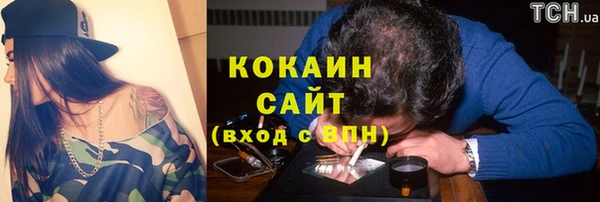 трава Новодвинск