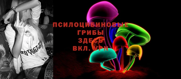 МДМА Новозыбков
