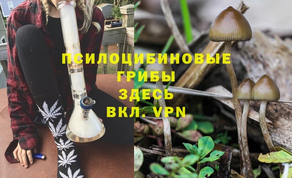 трава Новодвинск