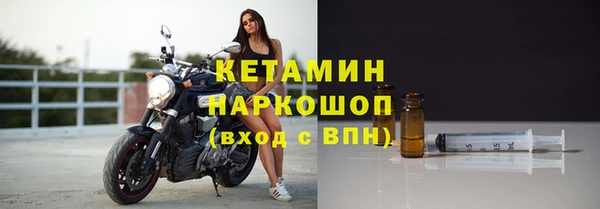 трава Новодвинск