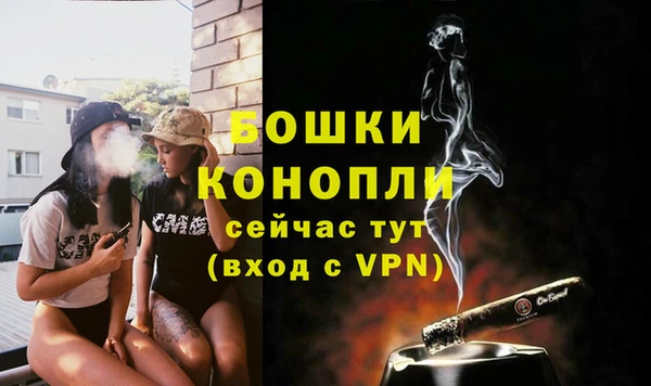 МДМА Новозыбков