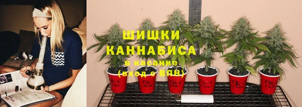 винт Новокубанск